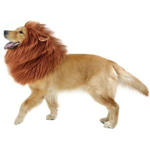 Lion Costume for Large Dog